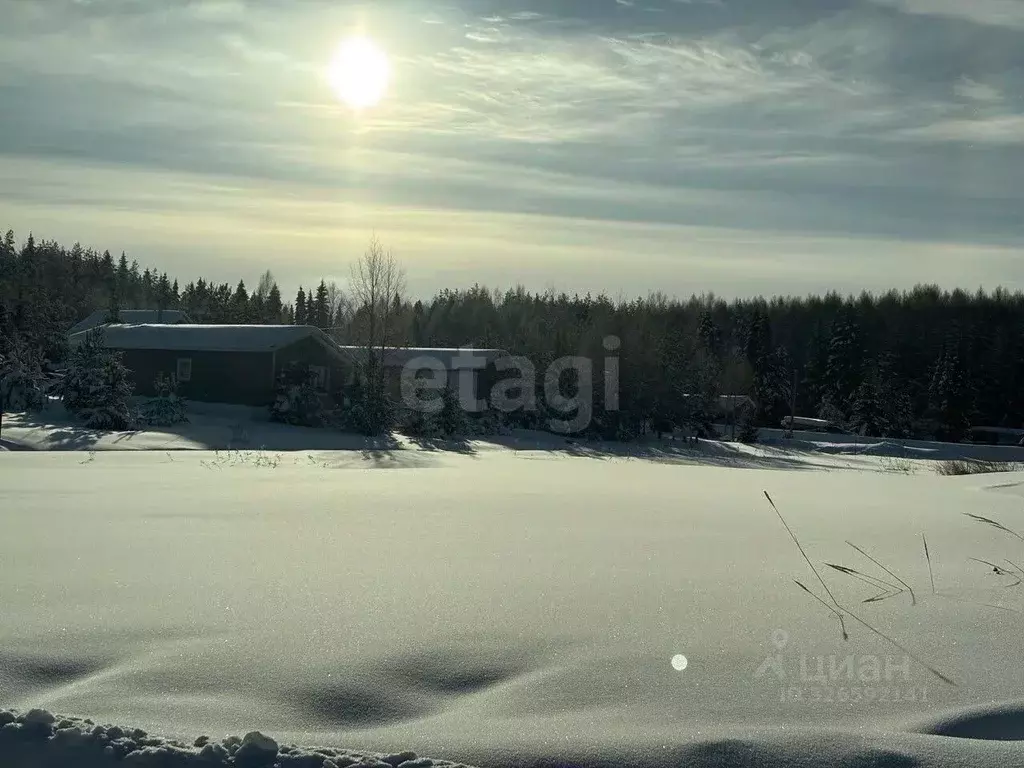 Участок в Кировская область, Слободской район, Шиховское с/пос, д. ... - Фото 1