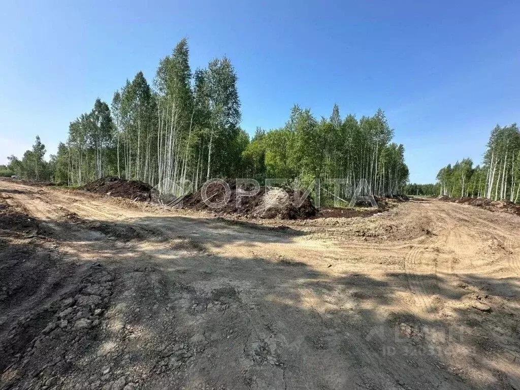 Участок в Тюменская область, Тюмень СОСН Березовое Озеро тер., ул. ... - Фото 2
