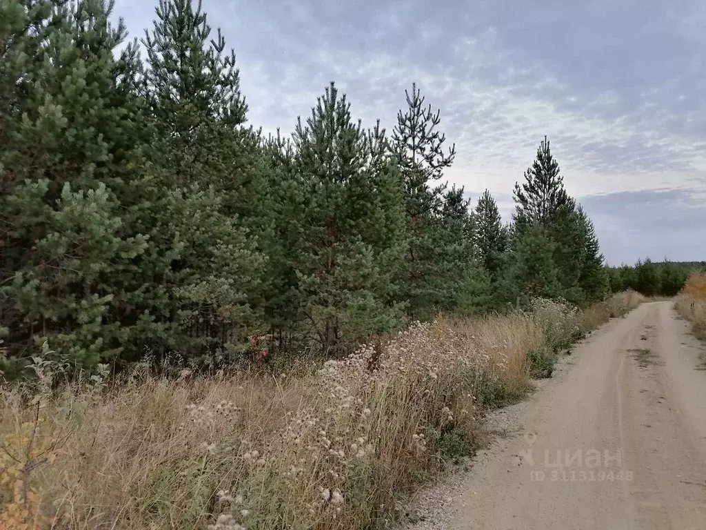 Участок в Свердловская область, Горноуральский городской округ, пос. ... - Фото 0