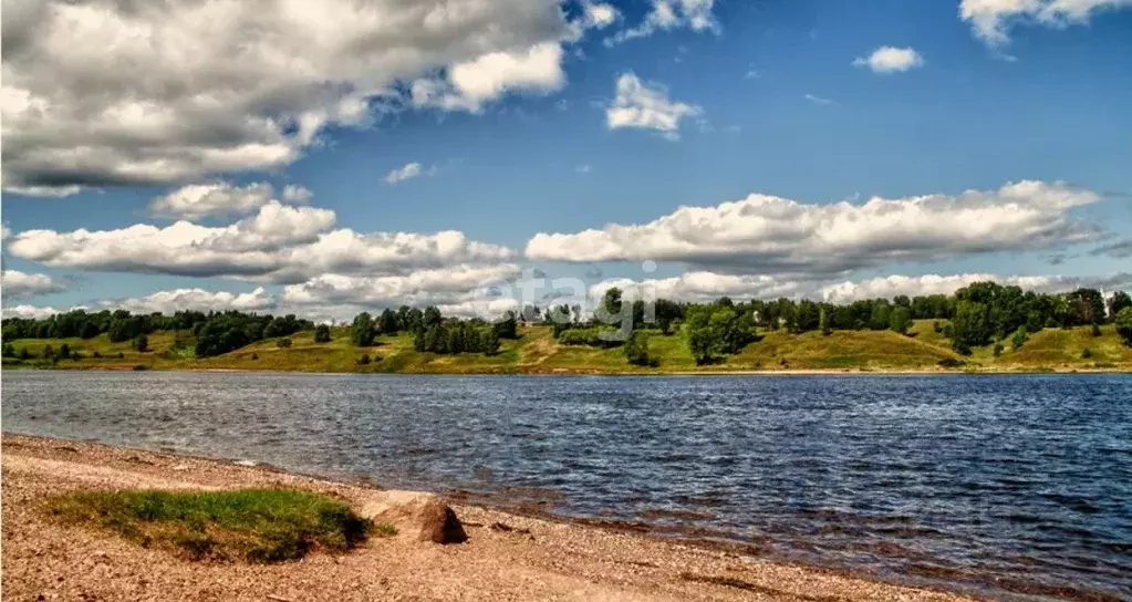 Участок в Ярославская область, Тутаевский муниципальный округ, д. ... - Фото 2
