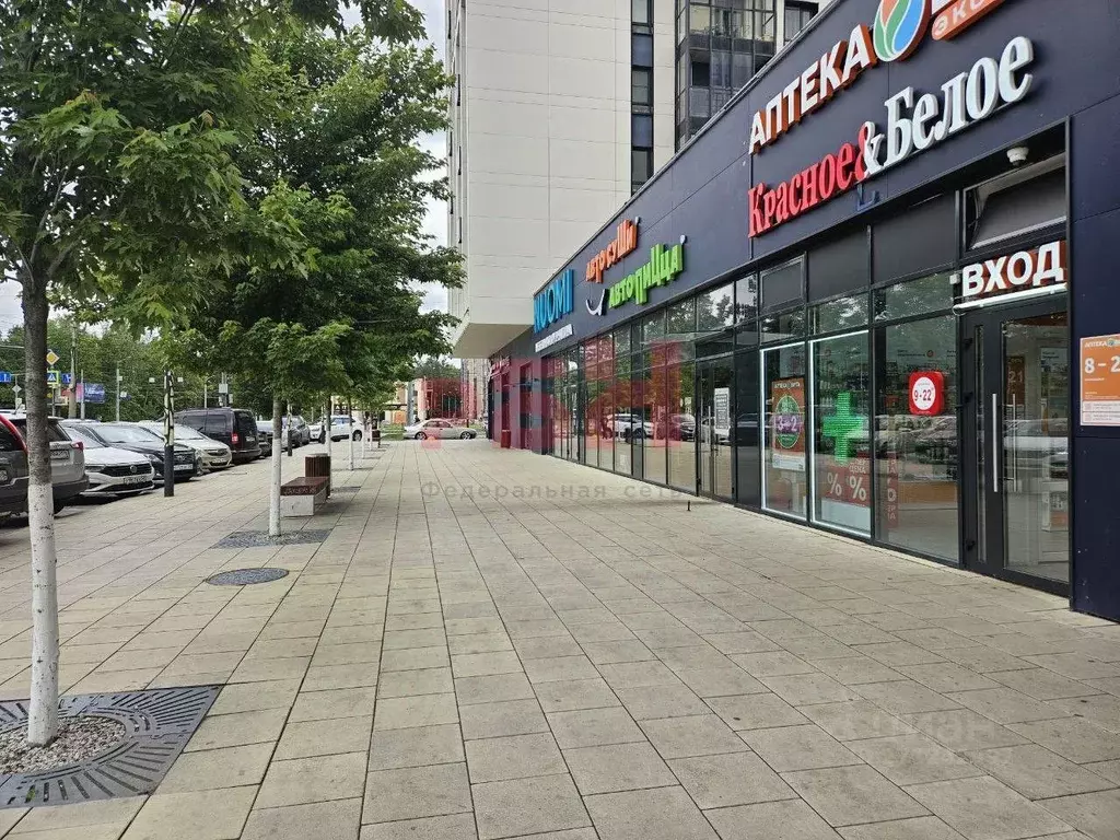 Торговая площадь в Пензенская область, Пенза ул. Мира (175 м) - Фото 2