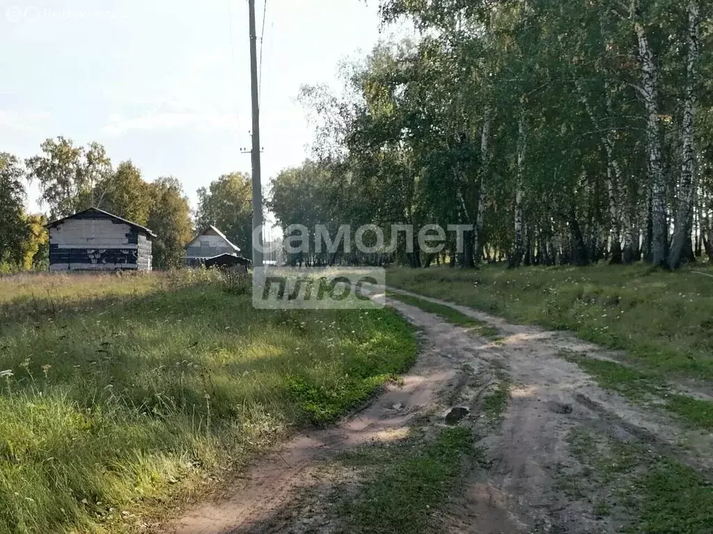 Участок в Новосибирская область, Бердск (10 м) - Фото 2