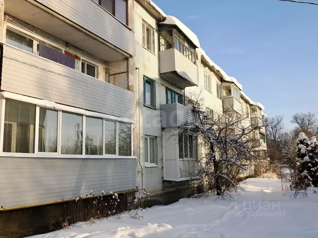 3-к кв. Псковская область, Остров пер. Освобождения, 4 (58.8 м) - Фото 1