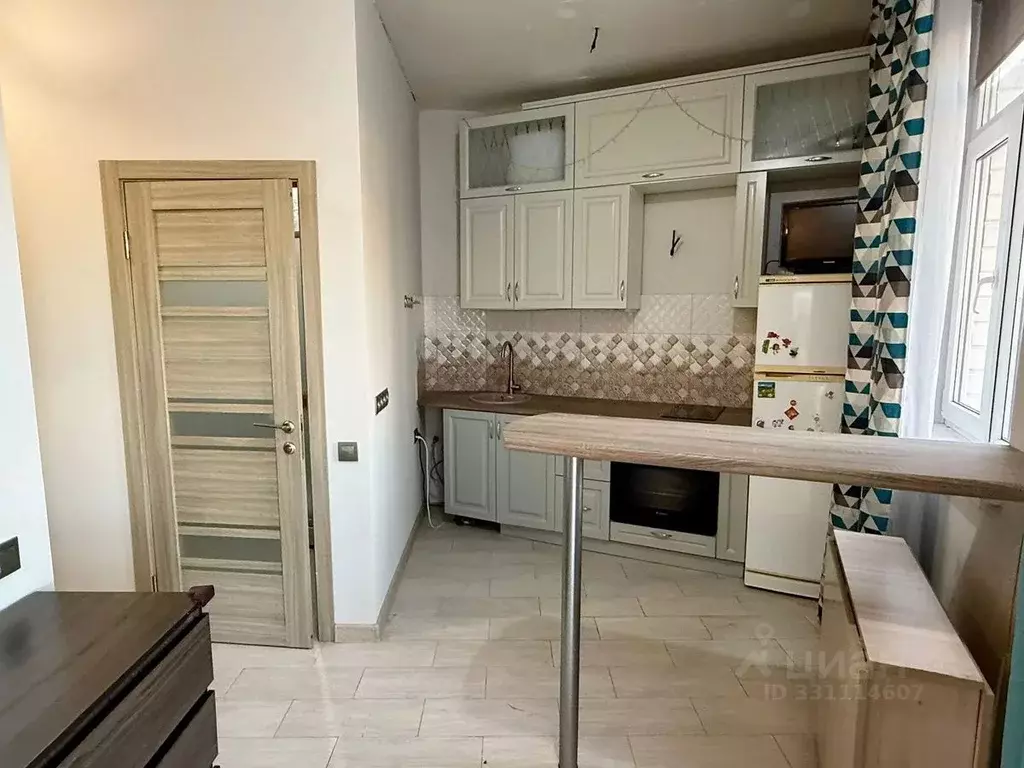 Студия Краснодарский край, Сочи Виноградная ул., 204Б/1 (28.0 м) - Фото 2