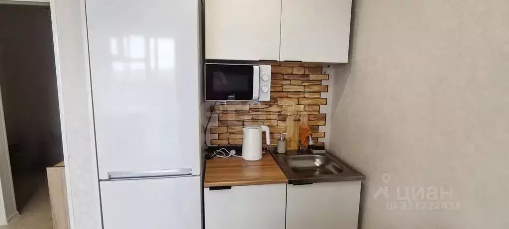 Студия Амурская область, Благовещенский район, с. Чигири ул. ... - Фото 1