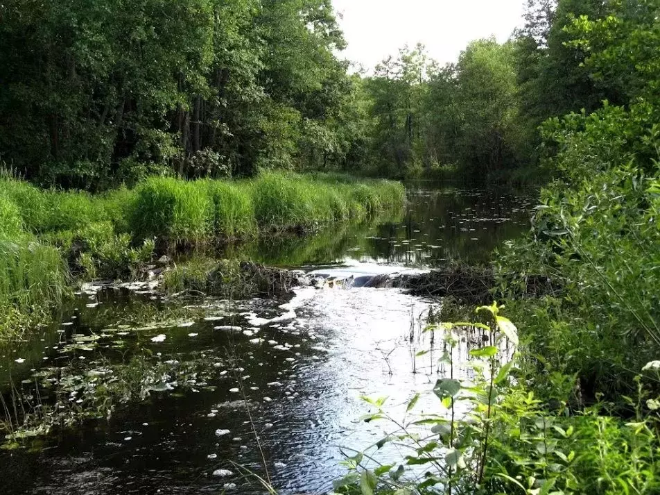 Участок в Тверская область, Кимрский муниципальный округ, д. Одинцово  ... - Фото 1
