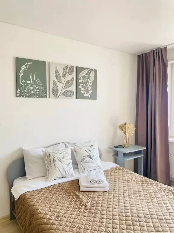 Студия Красноярский край, Красноярск Соколовская ул., 64 (28.0 м) - Фото 1
