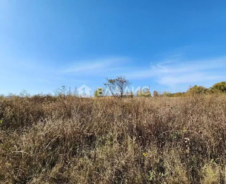 Участок в Пензенская область, Бессоновский район, с. Чемодановка ул. ... - Фото 0