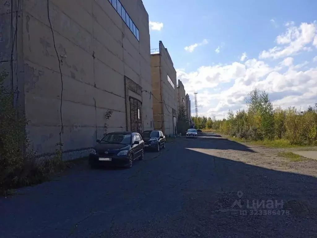 Производственное помещение в Удмуртия, Ижевск ул. Пойма, 77 (6400 м) - Фото 0