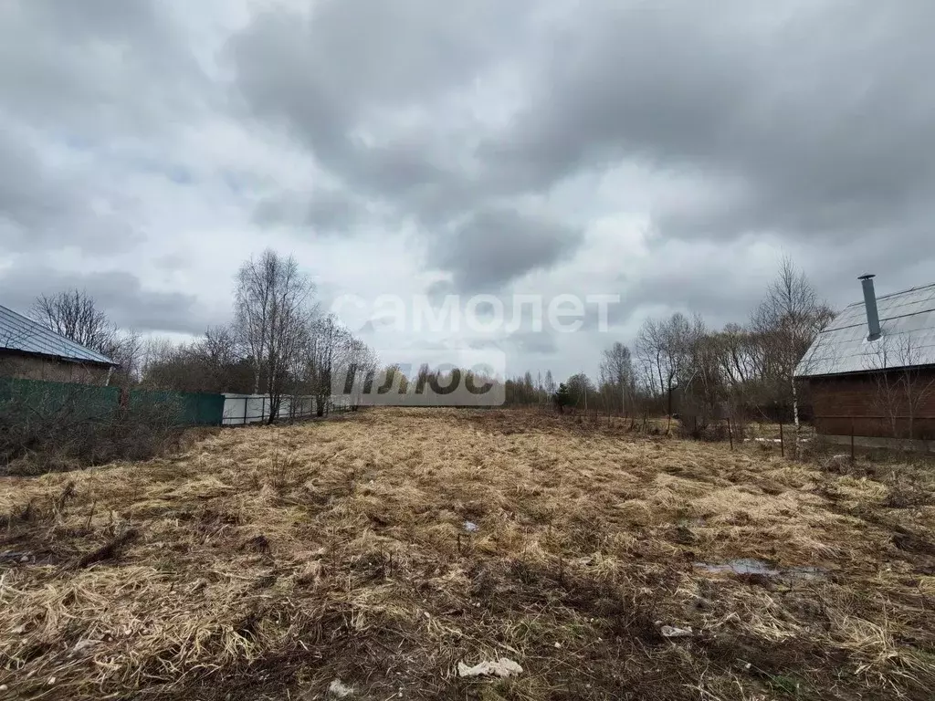 Участок в Владимирская область, Александровский муниципальный округ, ... - Фото 1
