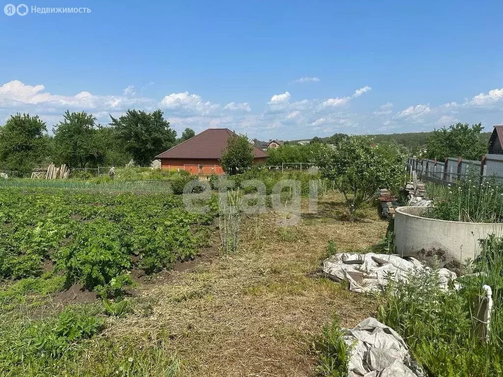 Участок в село Толмачево, улица Ромашина (35.8 м) - Фото 1