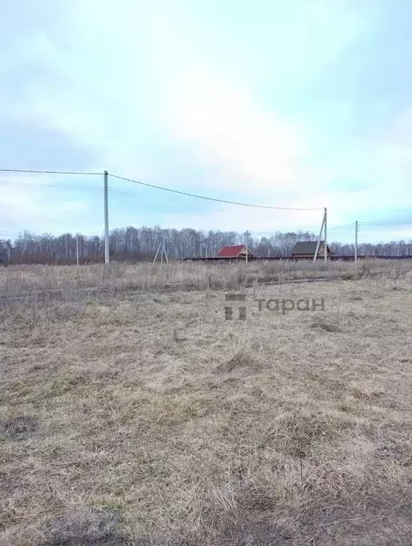 Участок в Челябинская область, Сосновский муниципальный округ, с. ... - Фото 1