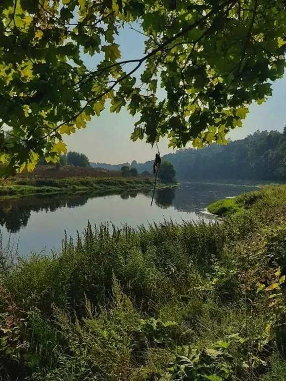 Участок в Московская область, Солнечногорск городской округ, с. ... - Фото 0