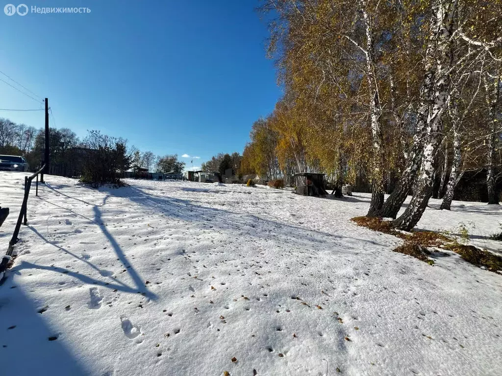 Участок в Бердск, СНТ Луговое-1 (17 м) - Фото 1