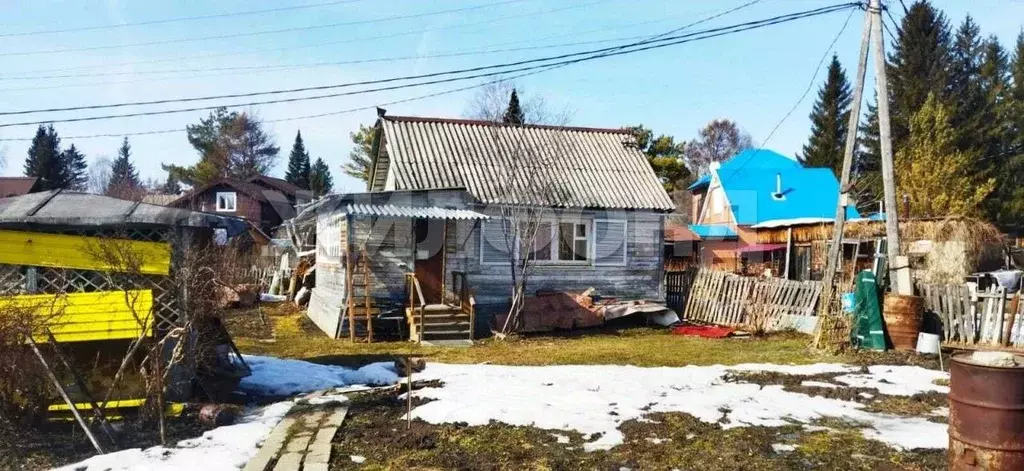 Дом в Новосибирская область, Новосибирск Ивушка садовое товарищество,  ... - Фото 0