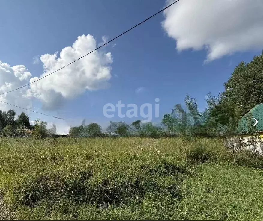 Участок в Вологодская область, Шограш садоводческое товарищество ул. ... - Фото 2