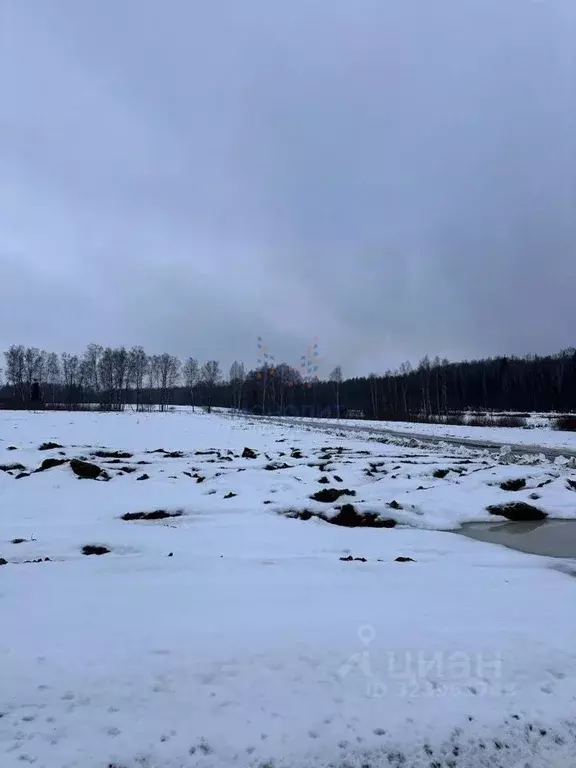 Участок в Москва № 177А кв-л, 238 (9.13 сот.) - Фото 0