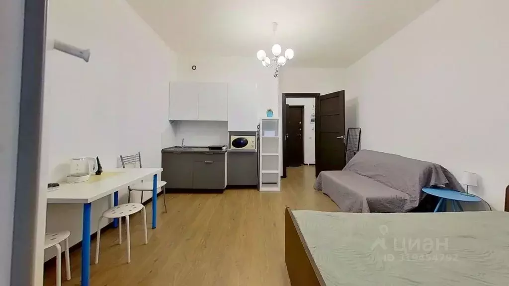Студия Санкт-Петербург Комендантский просп., 64к1 (29.0 м) - Фото 1