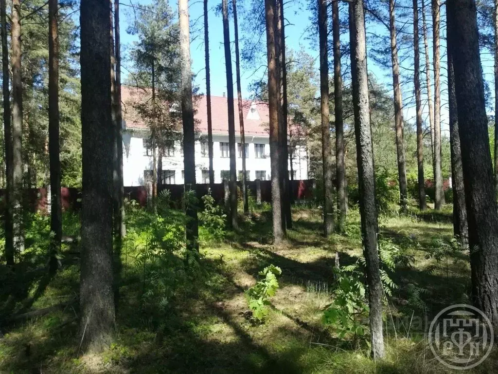 Участок в Ленинградская область, Всеволожск ш. Южное (18.0 сот.) - Фото 2