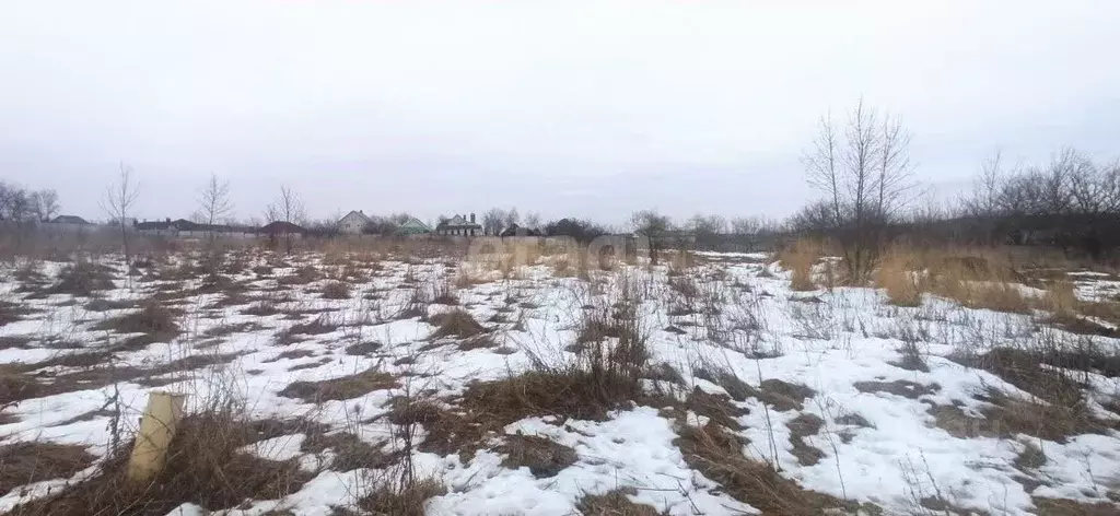 Участок в Белгородская область, Губкинский городской округ, с. Аверино ... - Фото 0