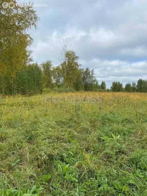 Участок в Тюмень, ДНТСН Зелёный Бор (10.14 м) - Фото 1
