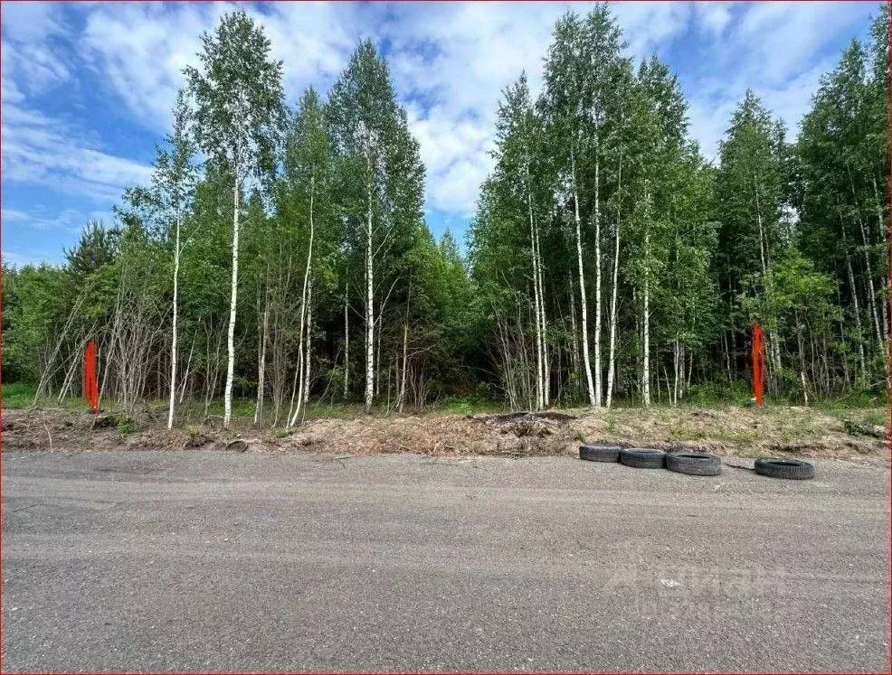 Участок в Свердловская область, Нижний Тагил ул. Большая Кольцевая ... - Фото 1