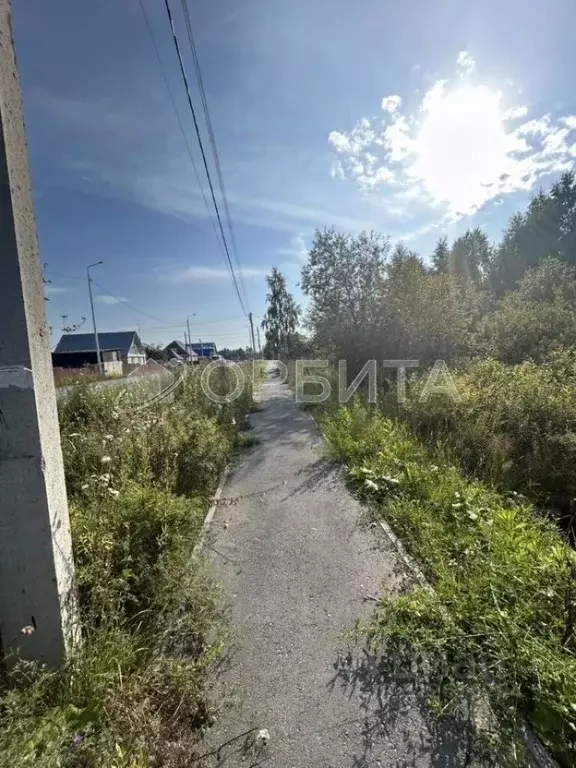 Участок в Тюменская область, Тюменский муниципальный округ, Винзили рп ... - Фото 2
