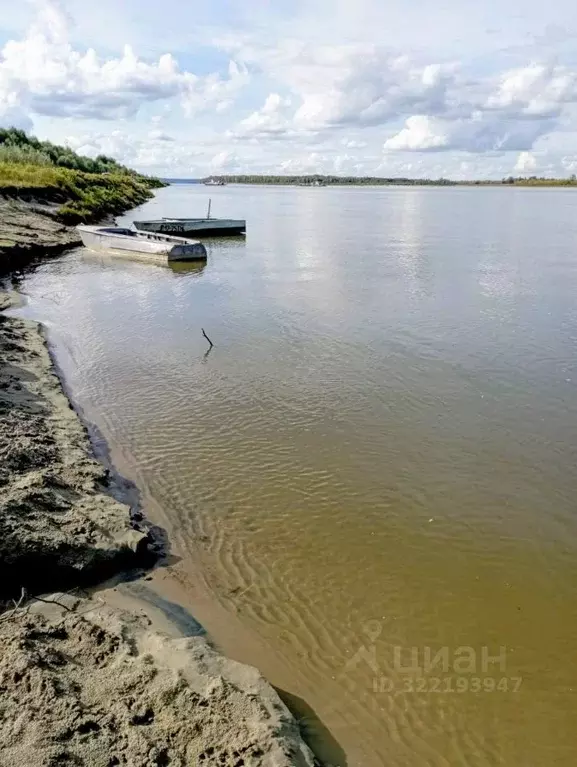 Участок в Тульская область, Заокский район, Страховское с/пос, с. ... - Фото 1
