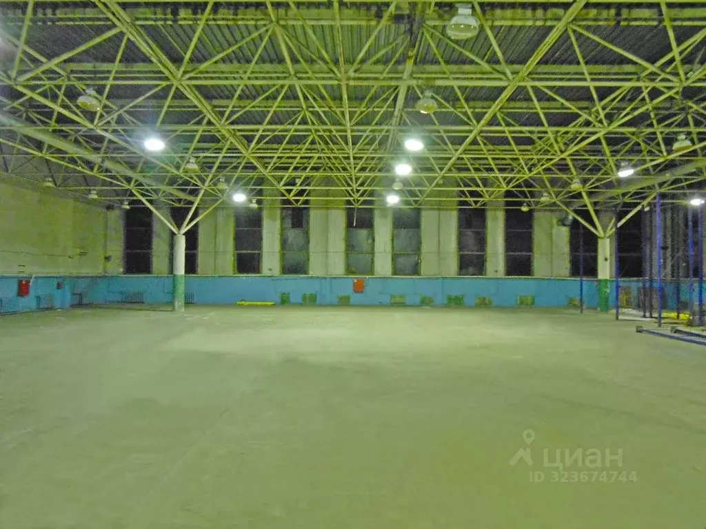 Склад в Новгородская область, Великий Новгород ул. Якова Павлова, 6к1 ... - Фото 1