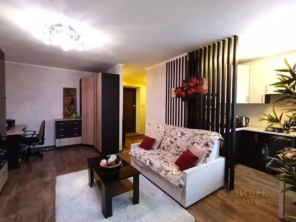 1-к кв. Московская область, Подольск ул. Филиппова, 14 (29.0 м) - Фото 2