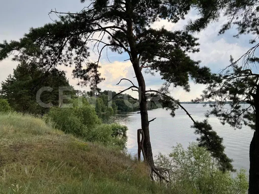 Дом в Липецкая область, Грязинский район, Ярлуковский сельсовет, с. ... - Фото 2