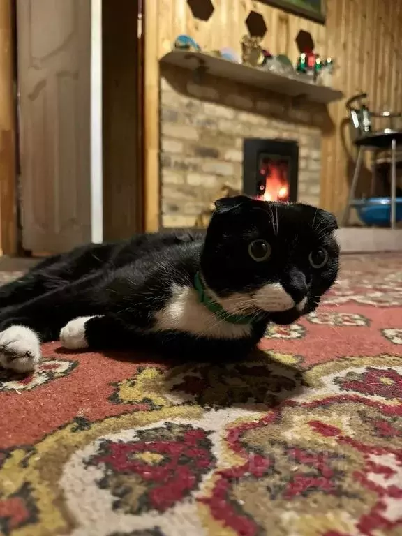 Дом в Тульская область, Тула городской округ, д. Нижнее Елькино 3 (70 ... - Фото 2