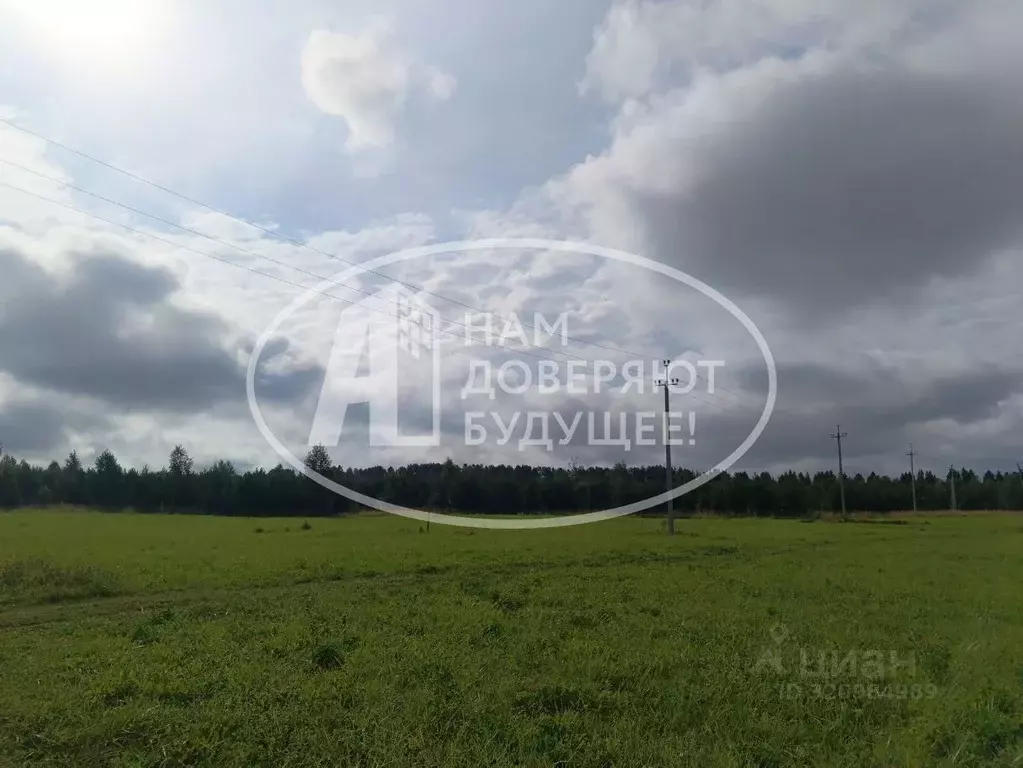 Участок в Пермский край, Кунгурский муниципальный округ, с. Насадка  ... - Фото 2