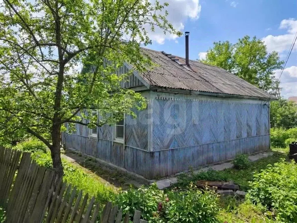 Дом в Камчатский край, Елизово Омская ул., 16 (46 м) - Фото 1