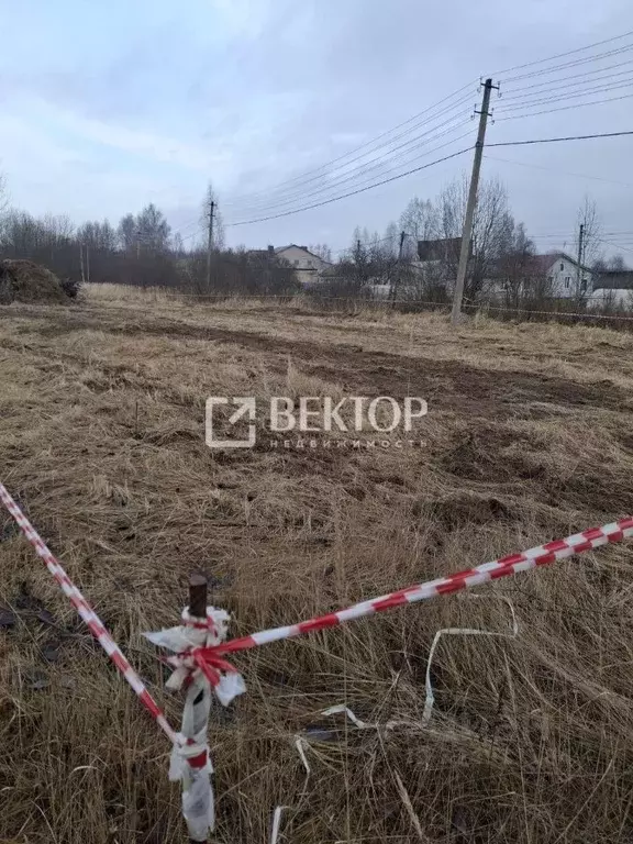 Участок в Костромская область, Красное-на-Волге пгт ул. Зеленая (10.0 ... - Фото 2