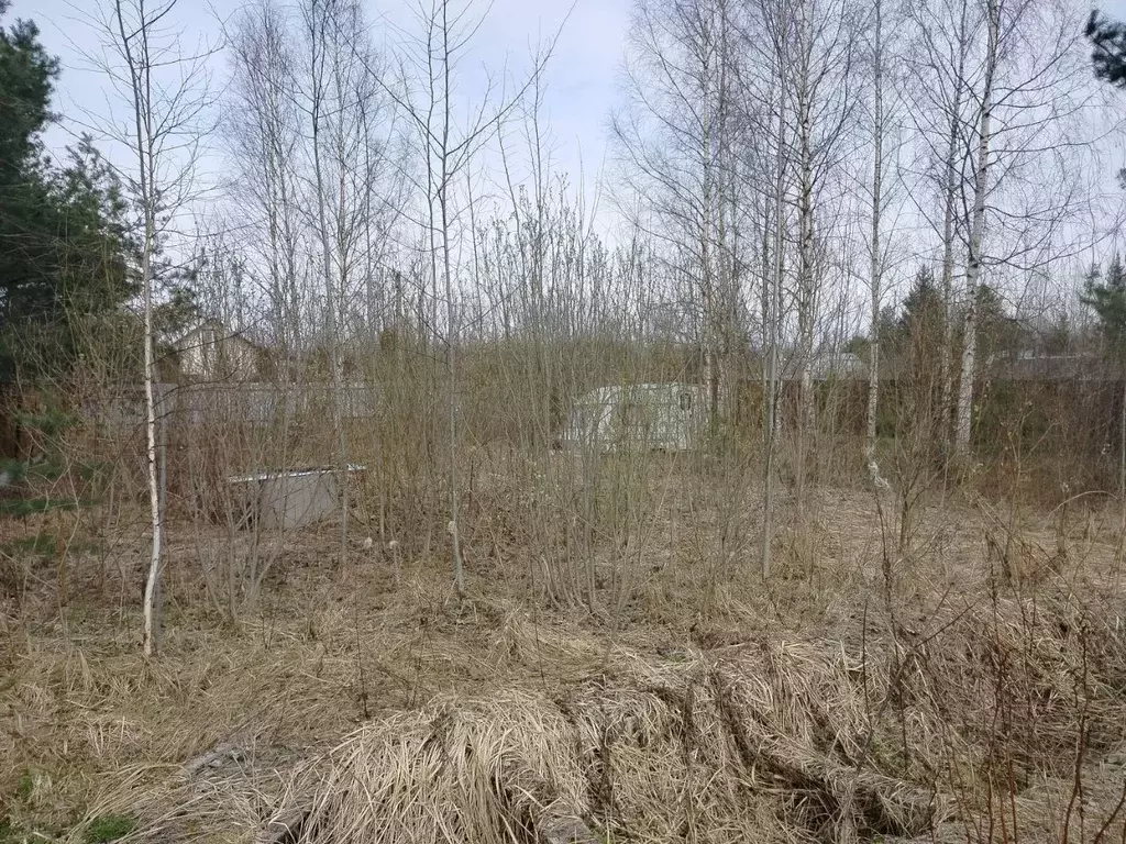 Участок в Тверская область, Конаковский муниципальный округ, Козлово ... - Фото 2