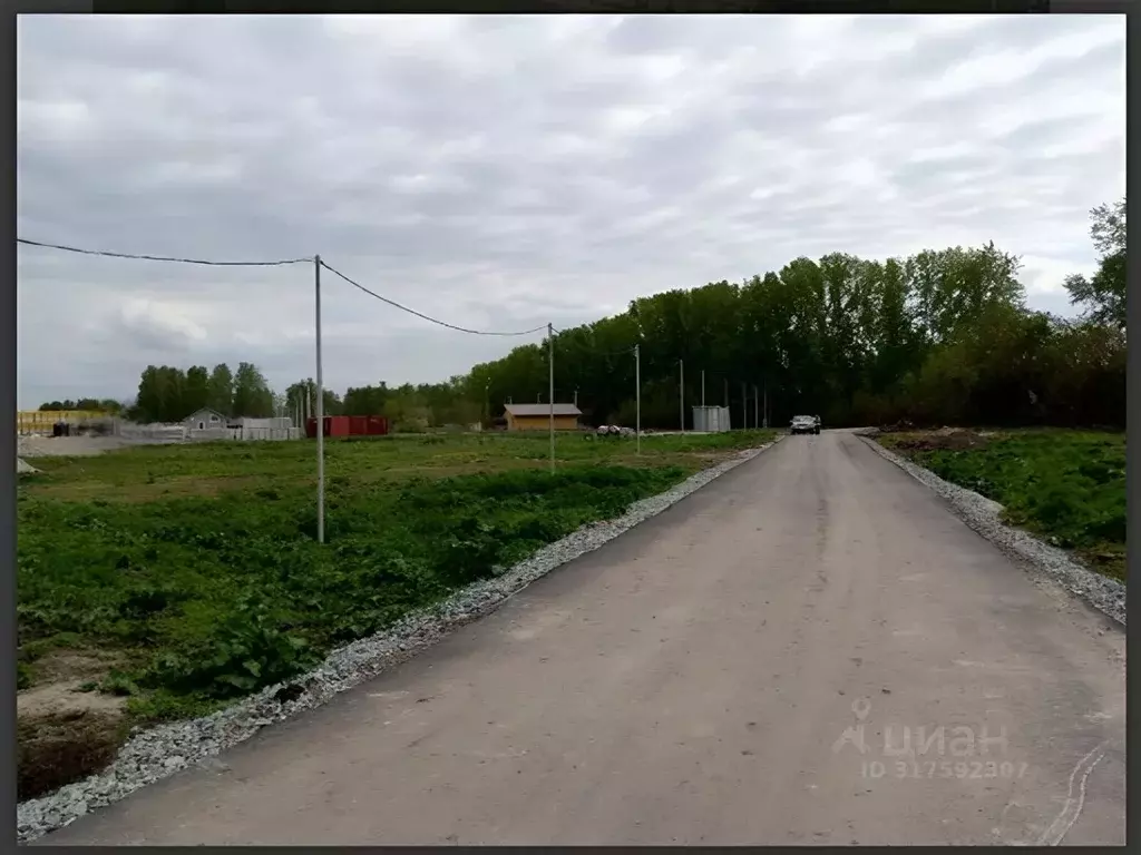 Участок в Новосибирская область, Новосибирский район, Морской ... - Фото 0
