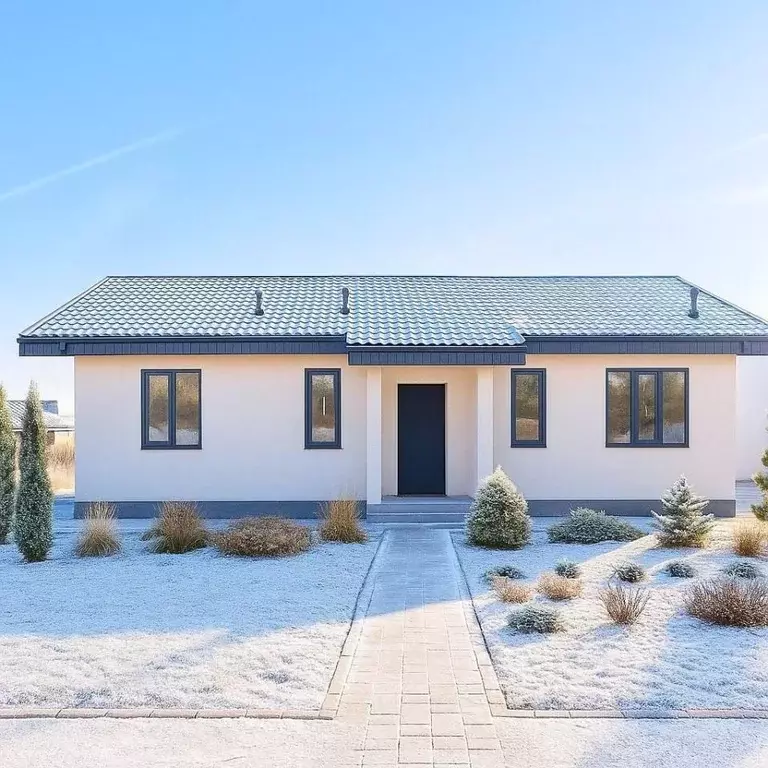 Дом в Нижегородская область, с. Безводное  (104 м) - Фото 1