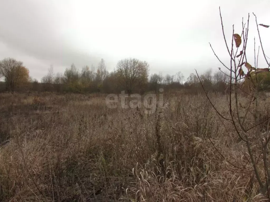 Участок в Вологодская область, Череповецкий район, д. Горка ... - Фото 1