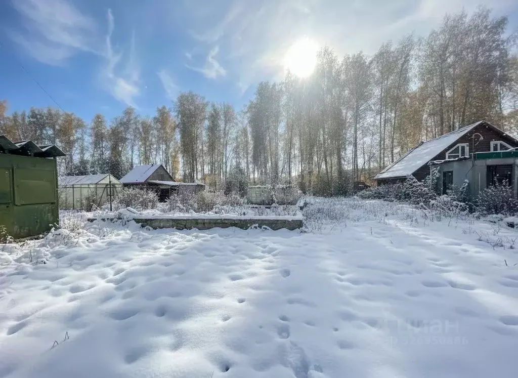 Участок в Новосибирская область, Бердск НСТ Отдых тер., ул. Березовая ... - Фото 1