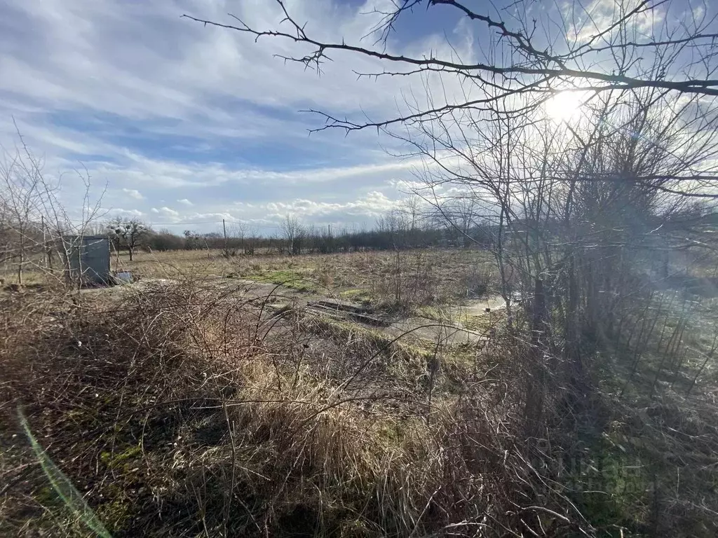 Участок в Краснодарский край, Северский район, Калужское с/пос, ... - Фото 2