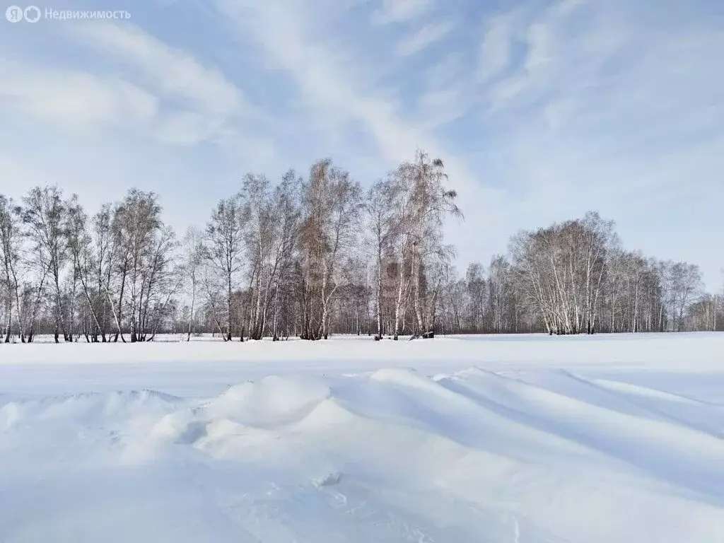 Участок в Плотниковский сельсовет, садовое некоммерческое товарищество ... - Фото 1