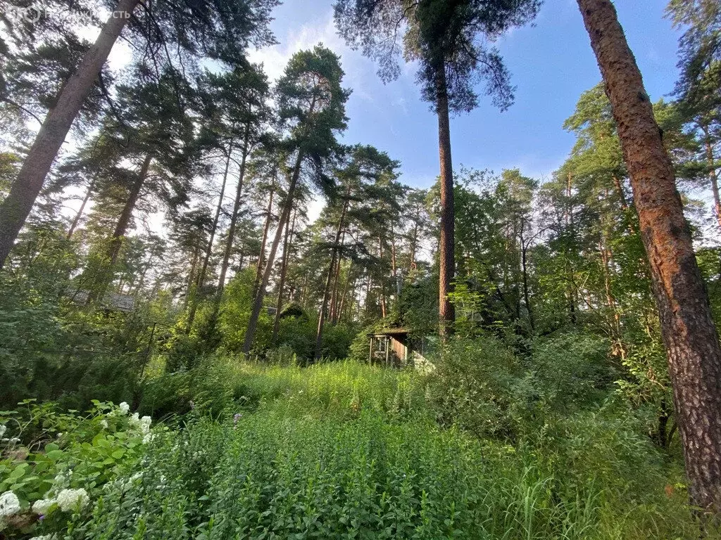 Участок в Раменское, улица Будённого, 7 (24.5 м) - Фото 2