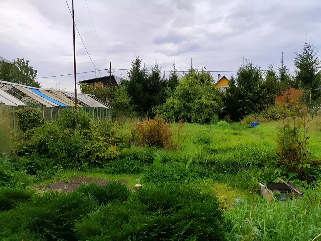 Дом в Ленинградская область, Шлиссельбург Кировский район, Орешек СНТ, ... - Фото 1