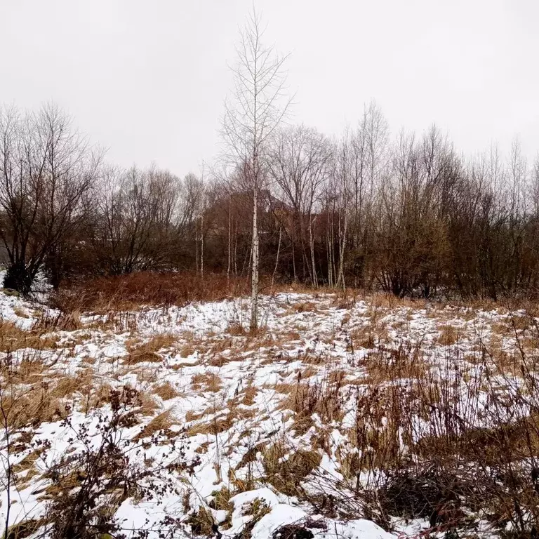 Участок в Московская область, Егорьевск Старополевая ул. (5.0 сот.) - Фото 1