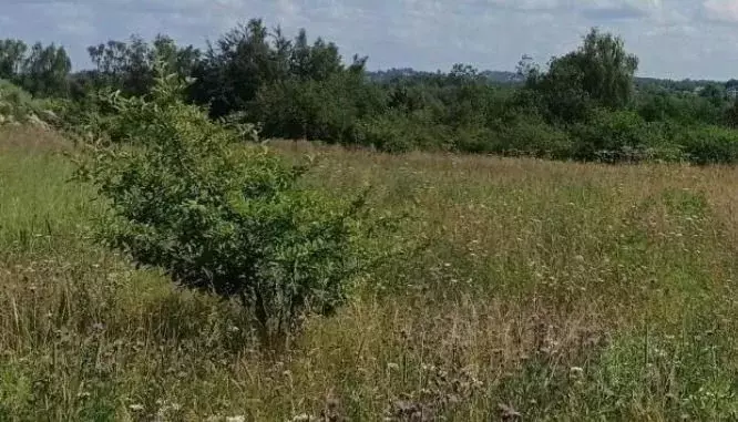 Участок в Московская область, Дмитровский муниципальный округ, пос. ... - Фото 1