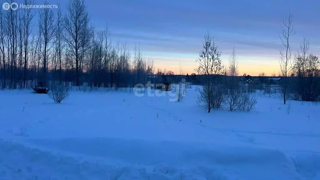 Участок в Завидово, Рябиновая улица (12.7 м) - Фото 1