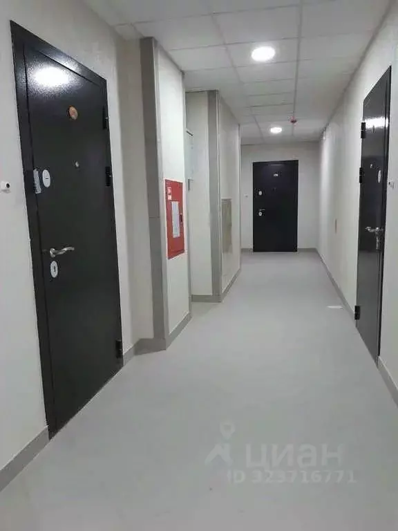 2-к кв. Санкт-Петербург ул. Руднева, 18 (56.0 м) - Фото 2