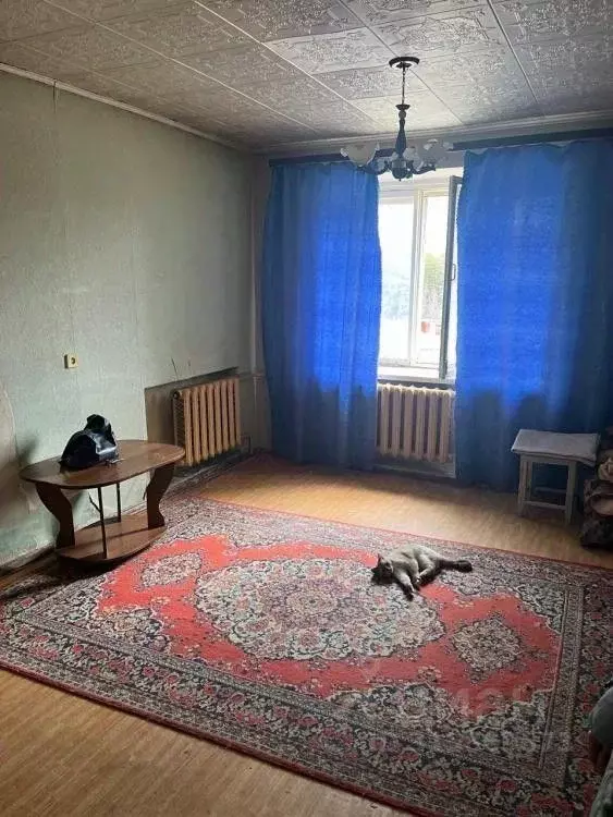 Комната Свердловская область, Березовский ул. Мира, 3 (17.5 м) - Фото 1