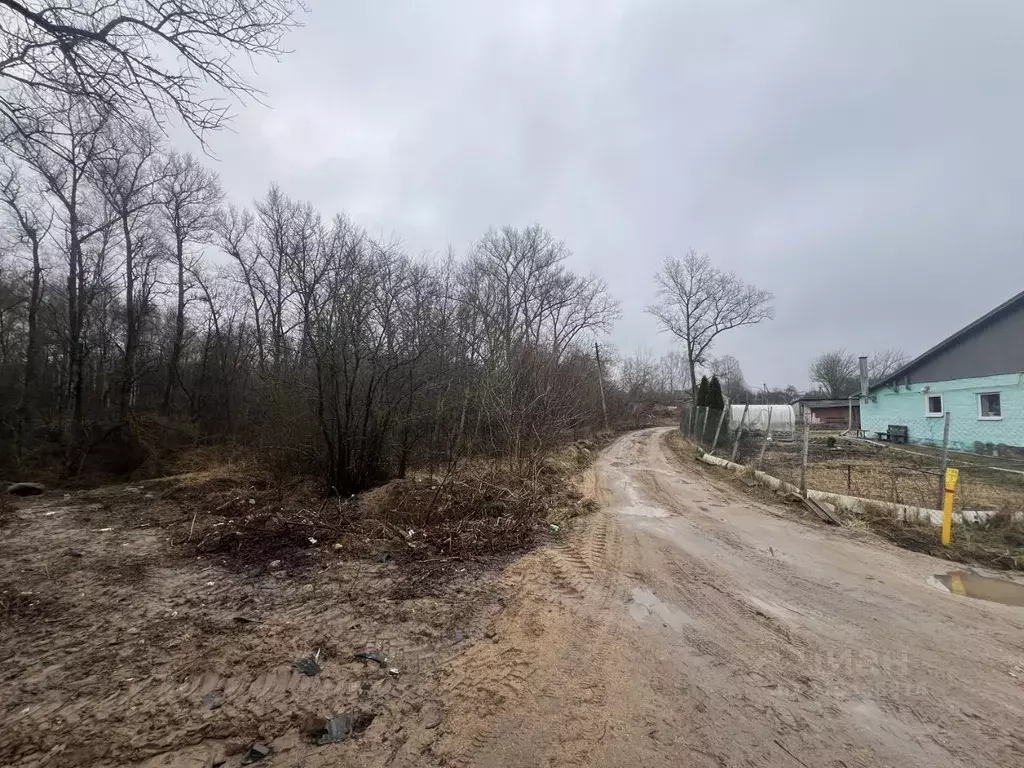 Участок в Смоленская область, Смоленск пос. Анастасино,  (15.0 сот.) - Фото 2